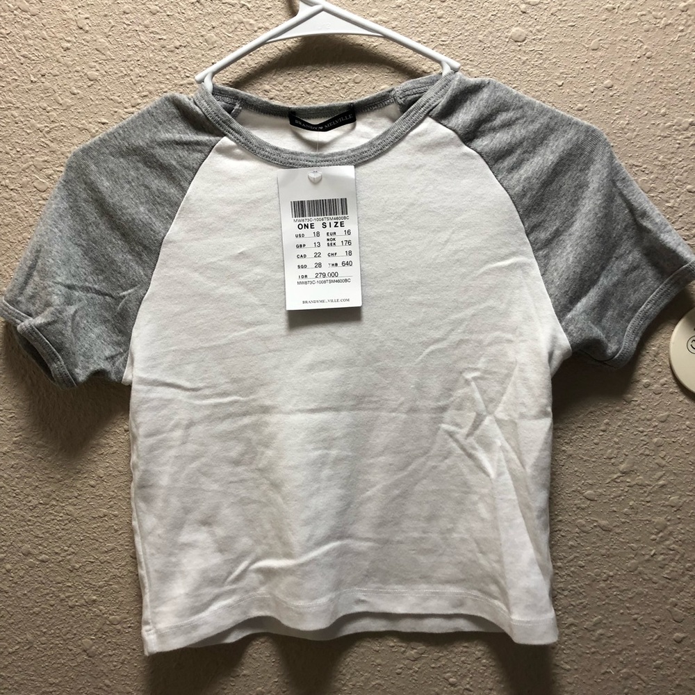 NWT Brandy Melville Fitted Tshirt